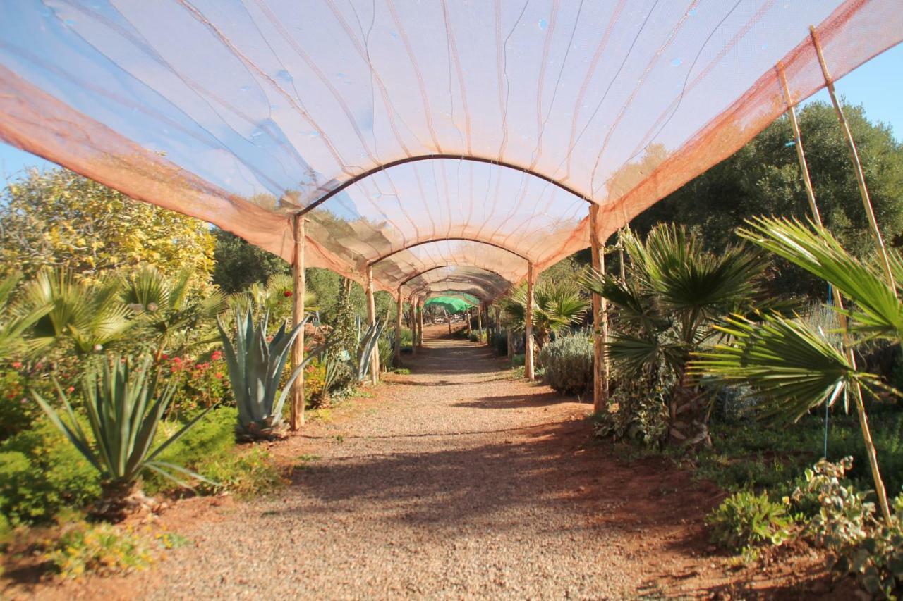 Ecolodge Espace Tamount เดมนาต ภายนอก รูปภาพ